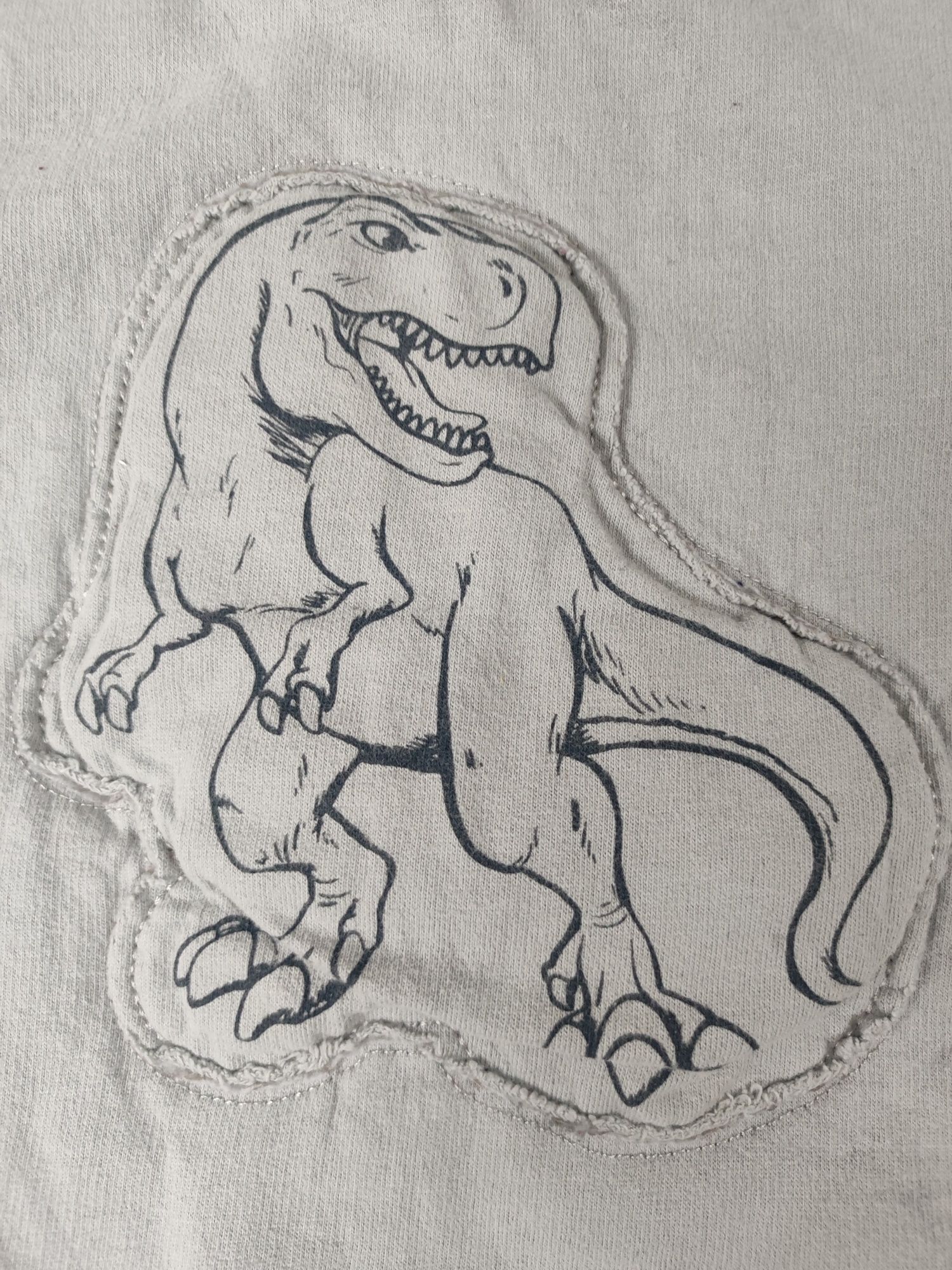 Bluza dinozaur rozmiar 4/5 lat - 110 cm