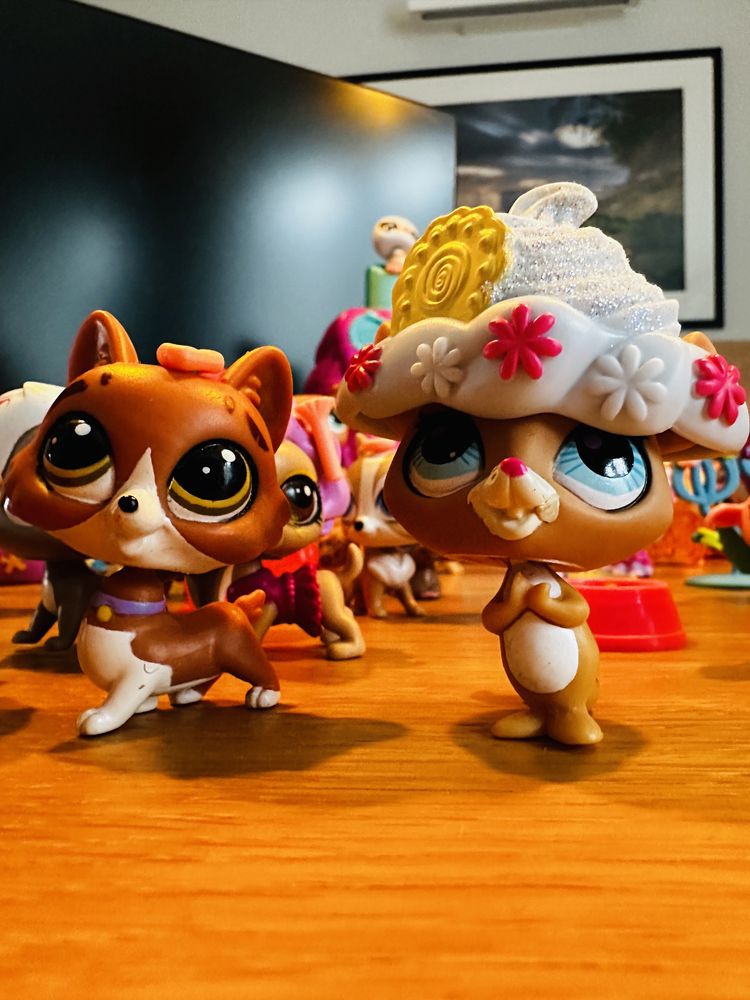 Kolekcja littlest Pet Shop