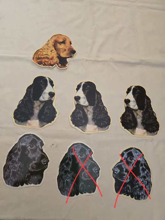 Autocolante de Caes (Cocker Golden Husky Alasca Boxer)