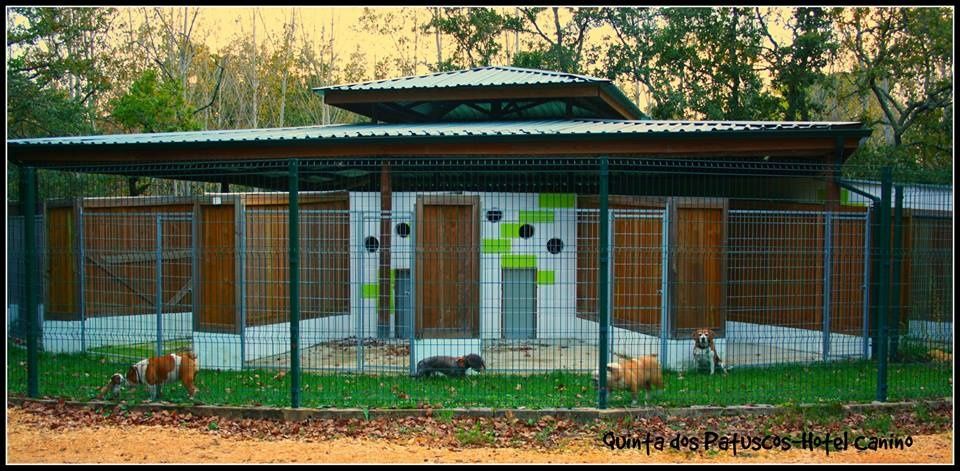 Hotel Canino Quinta dos Patuscos (Coimbra)