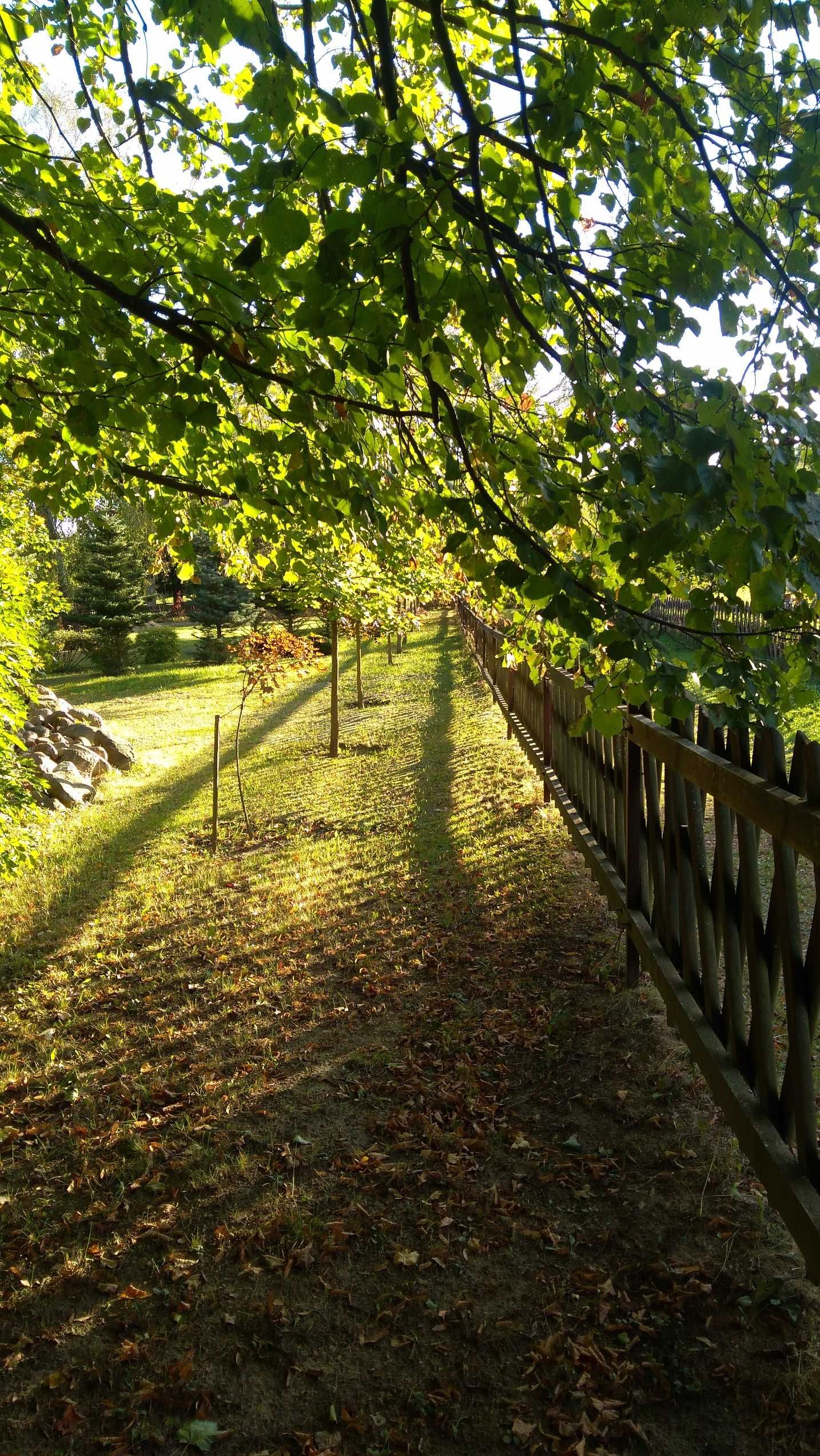 Działki jez. Gromskie, linia brzegowa, Mazury, WZ