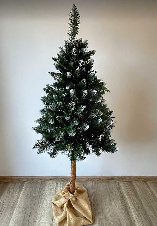 Gęsta CHOINKA NA PNIU 160cm oszroniona SOSNA DIAMENTOWA + gratis