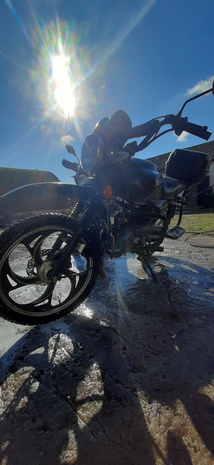 Мустан дінго 125
