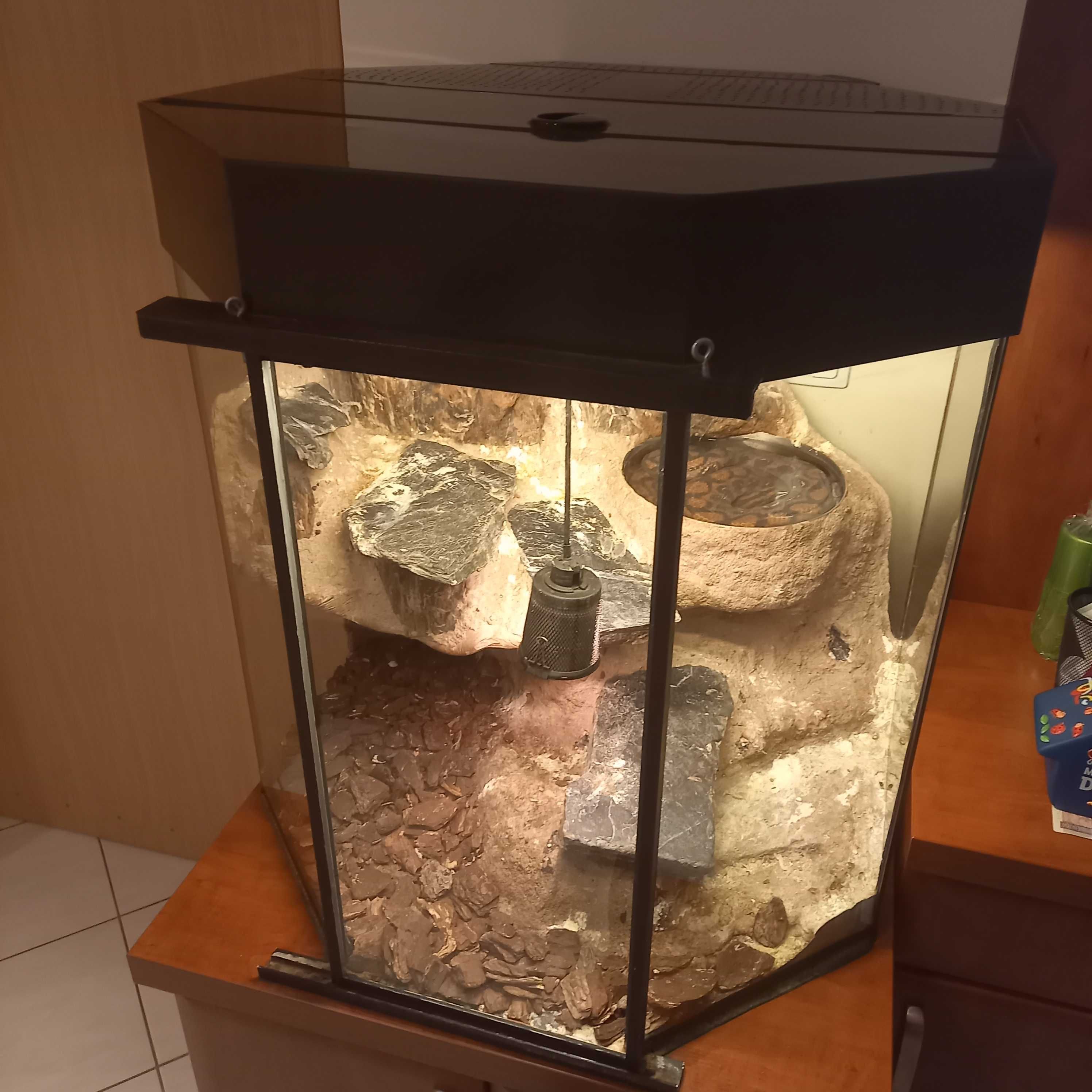 Terarium duże 8 kątne z szafką i wyposażeniem