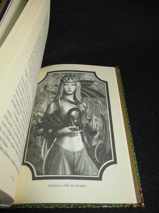 Livro Daenerys A Mãe dos Dragões George R. R. Martin