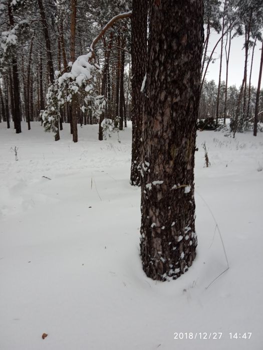 Приватизована земельна ділянка