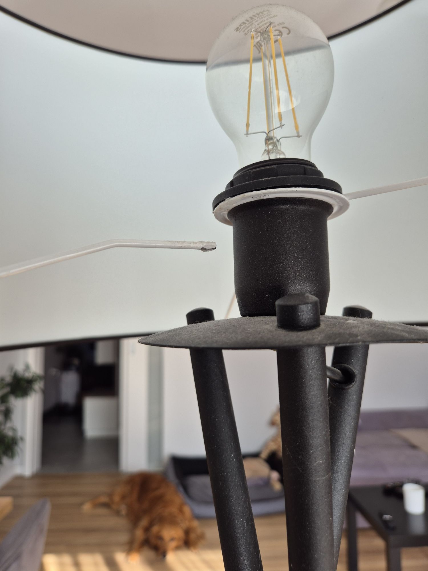 Lampa stojąca wysoka duza