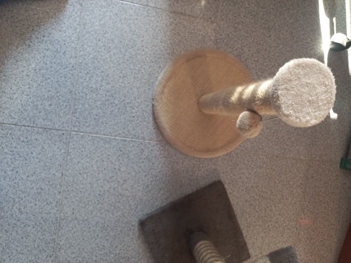 Arranhadores e wc para gato