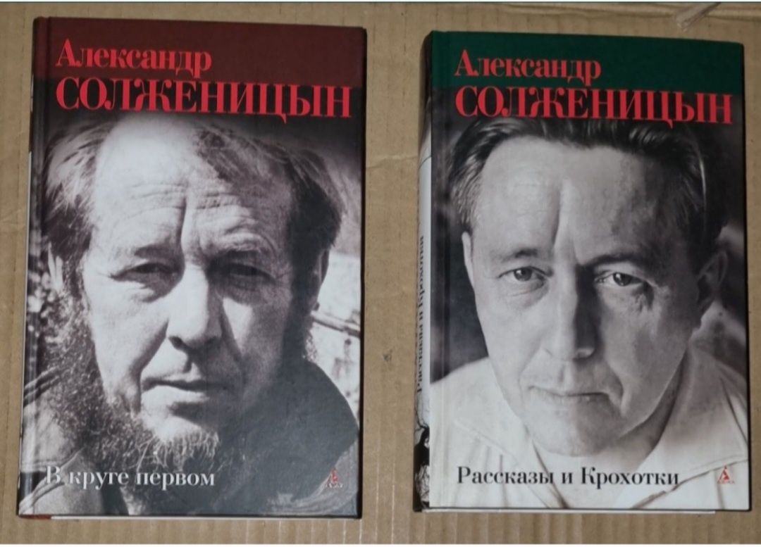 Книги: Александр Солженицын, Кафка, Шолохов, Рубина