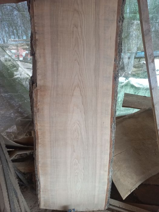 PLASTER  unikat 100cm ładne słoje Jesion stolik kawowy plaster