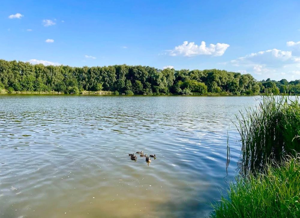 Продам свою дачу в с. Водяне, напрямок київської траси.