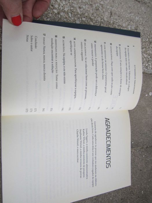 Livro As 17 Qualidades do Trabalho em Equipa de John C. Maxwell