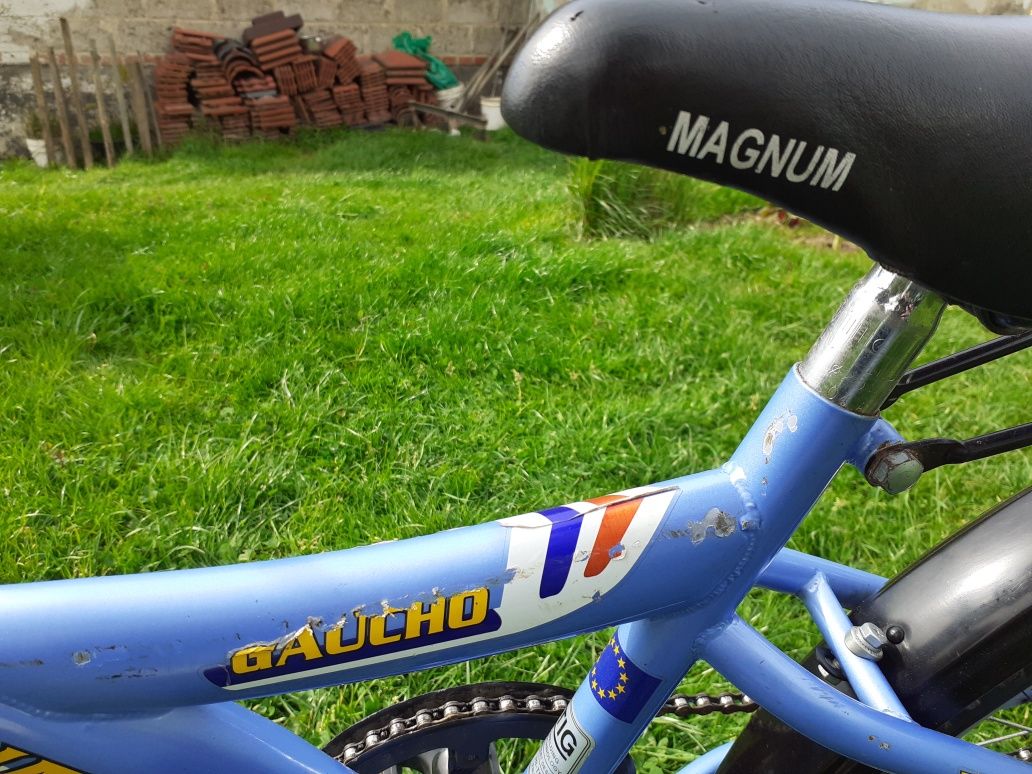 Rower Magnum Gaucho dziecięcy