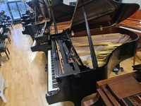 Fortepian Boston GP178 by Steinway & Sons profesjonalny