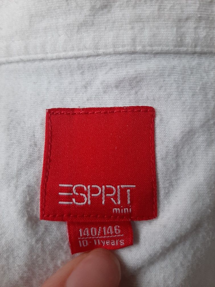 Esprit 140 / 146 koszula bawełniana w prążki