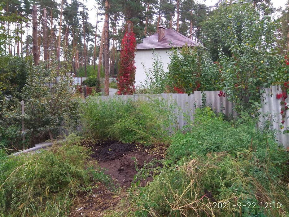 Продам ділянку в Бучі Лісовій від хазяїна!!