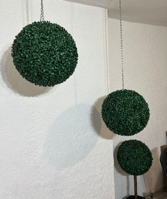 Самшит  декоративный, для офиса,дома