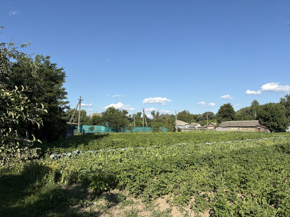 Продаж будинку Деснянське Новгород-Сіверський район