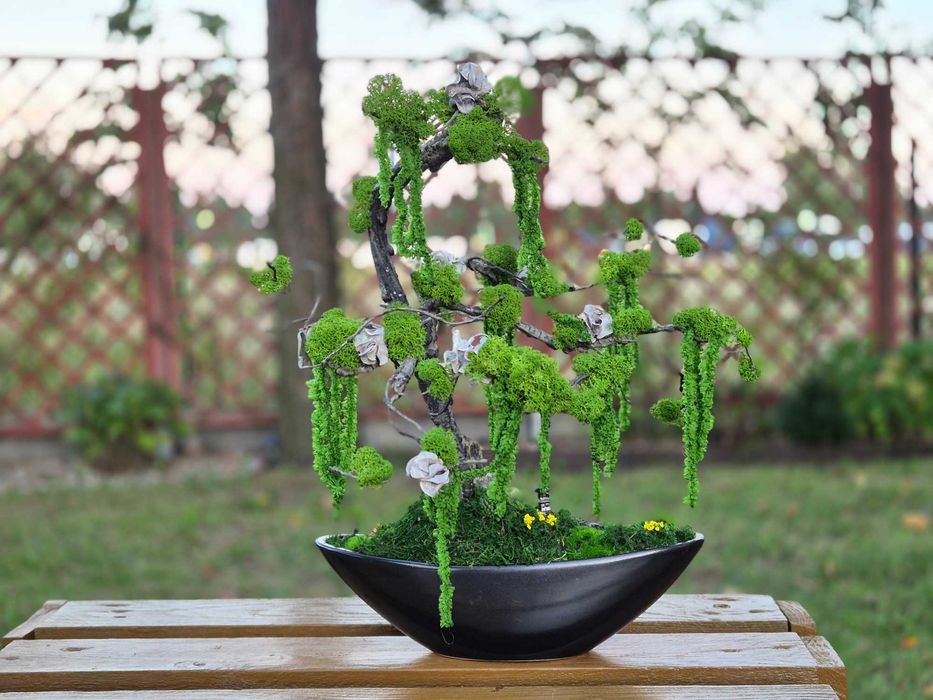 Drzewo XL Bonsai Mech Chrobotek Dekoracja Długowieczne Dom Prezent