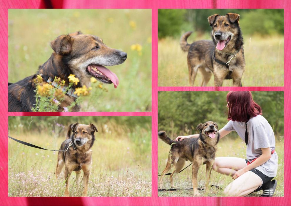 GAZIO - marzy o nowym domu i rodzinie :)