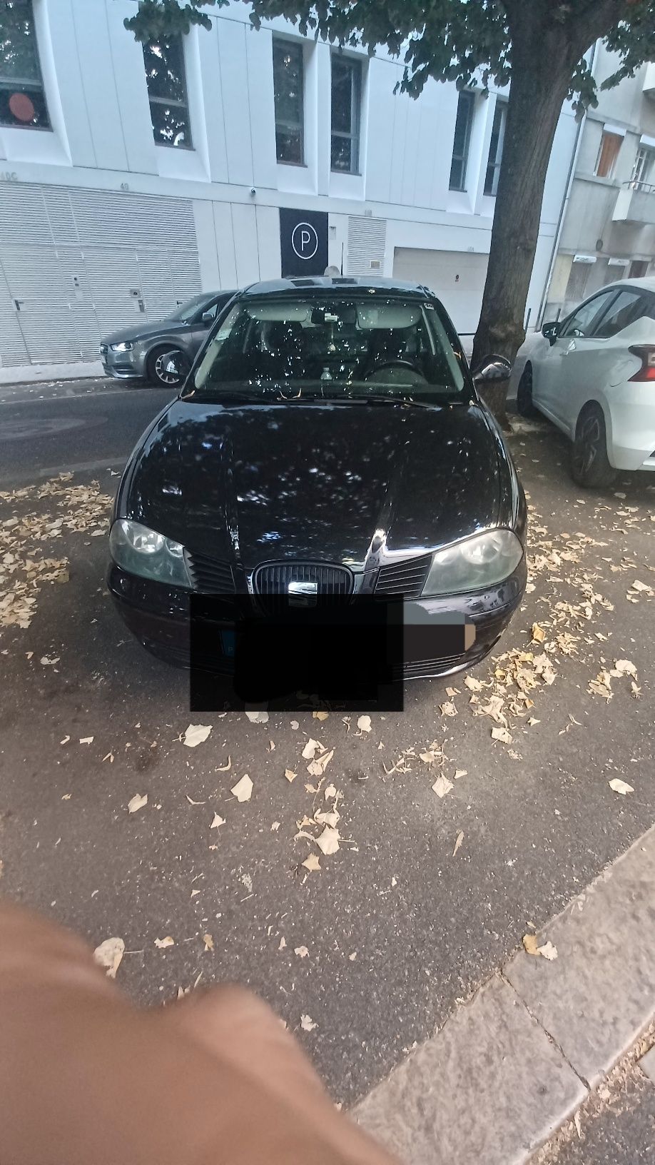 Seat Ibiza 1.9 TDI 130cv