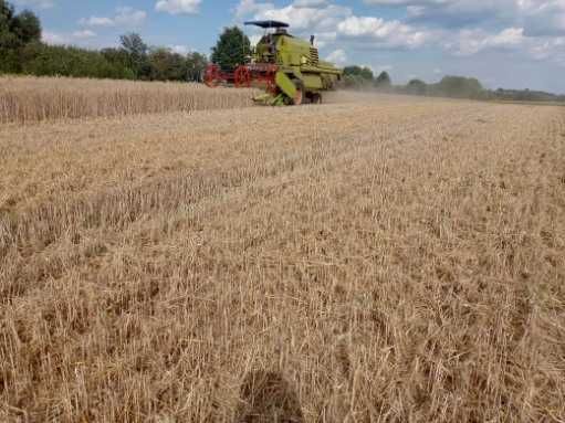 Claas Mercator 75