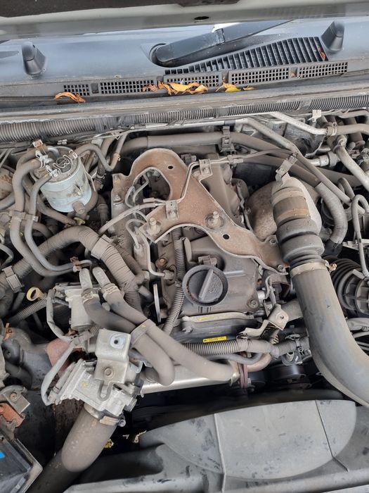 Silnik Nissan Navara Yd25 d40 2.5d 144km