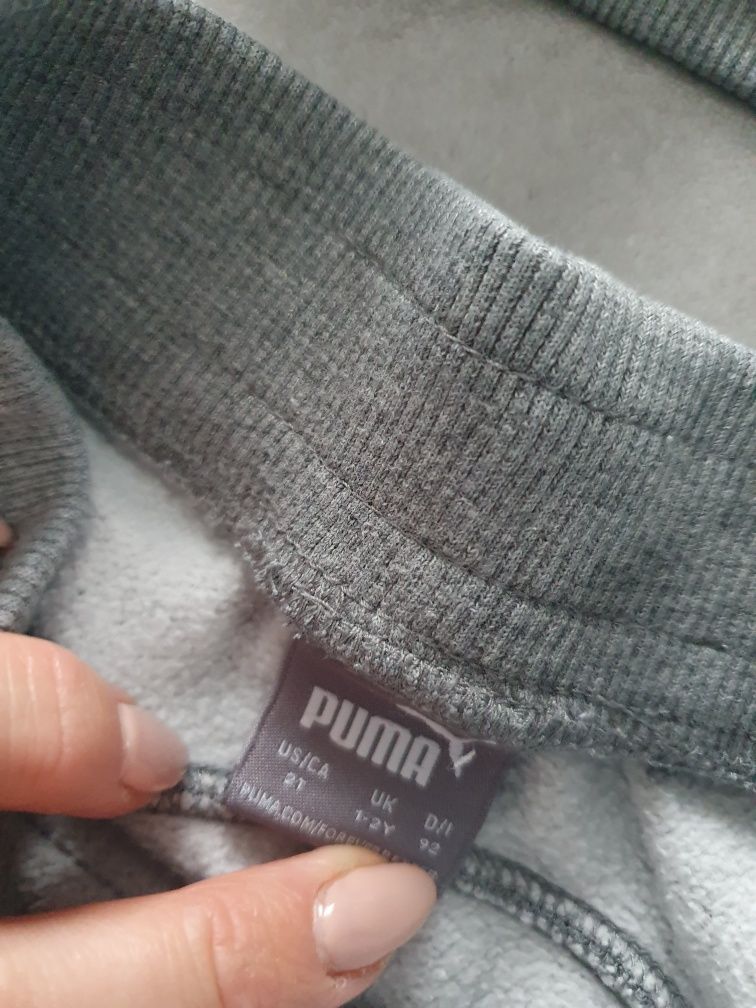 Dres dla dziewczynki lub dla chłopca puma dla dziecka