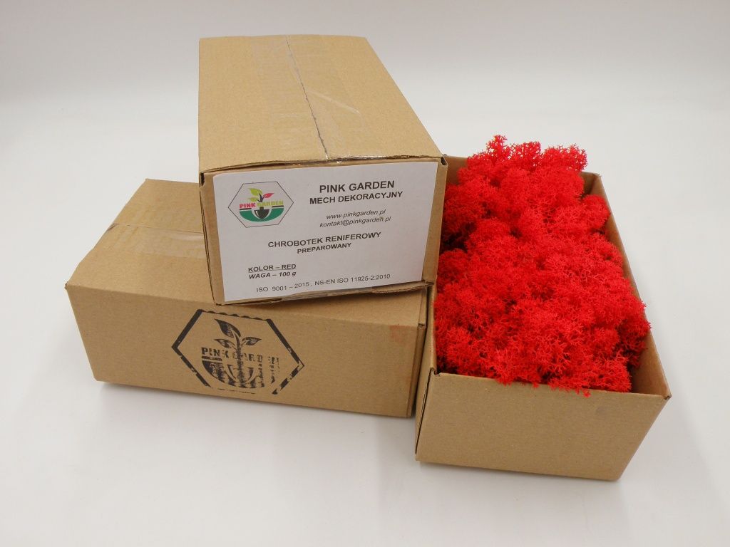 Mech chrobotek reniferowy 100g red