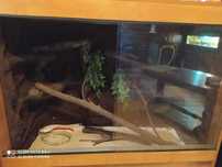 Sprzedam terrarium