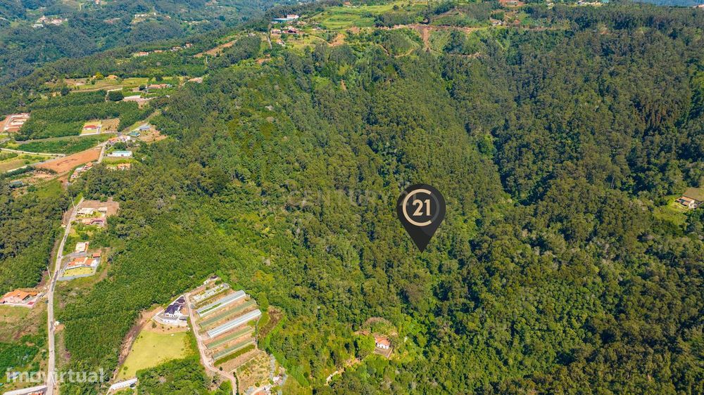 Terreno Rústico Floresta Mista com 6.600 m2 - Morena, Santa Cruz, Made