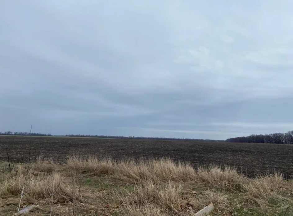 Продаж арештованої зем.ділянки для ведення товарн. виробництва, 2.23га