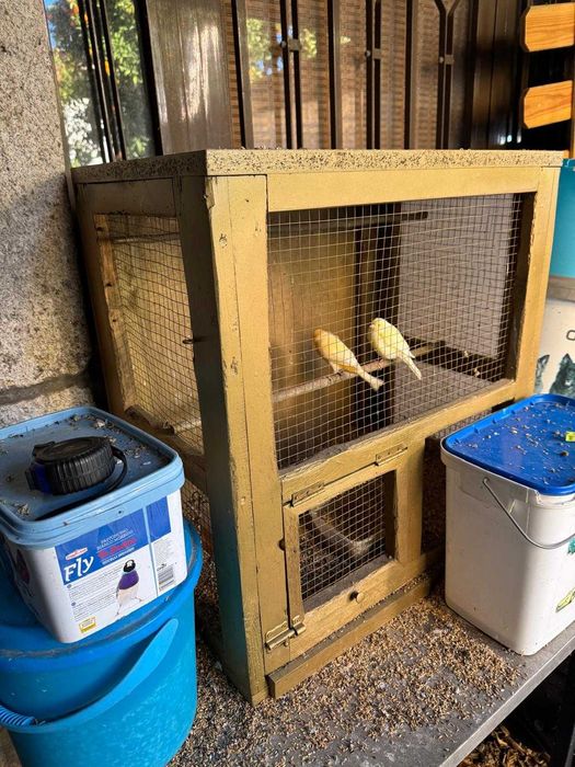 gaiolas e viveiros para aves