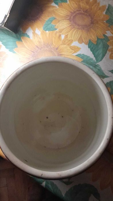 Горшки самоувлажняющиеся глубокие и керамика  разные дешево