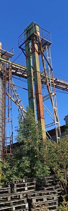 Podajnik kubełkowy do zboża