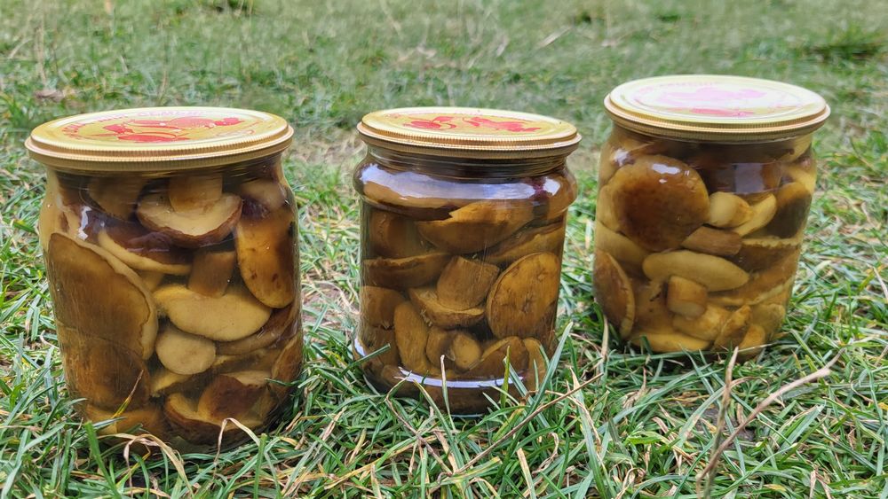 Мариновані польські гриби