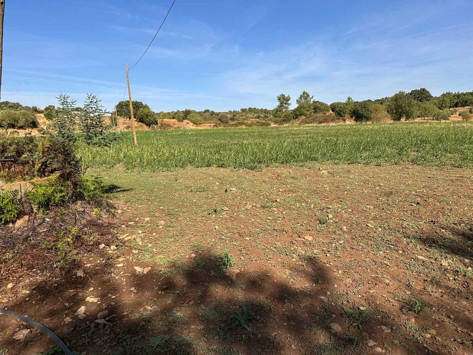 Quinta com 15 hectares