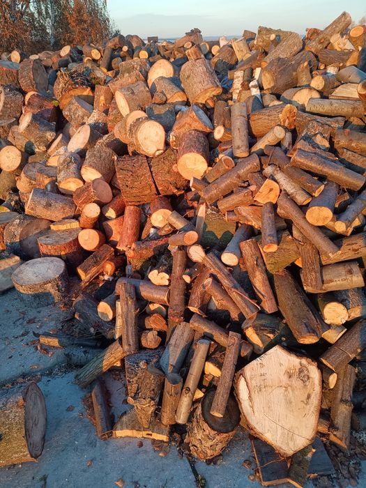 Drewno opałowe sosna modrzew akacja