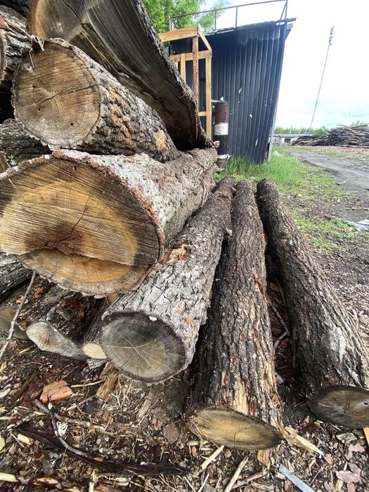 Дрова дубові кругляк