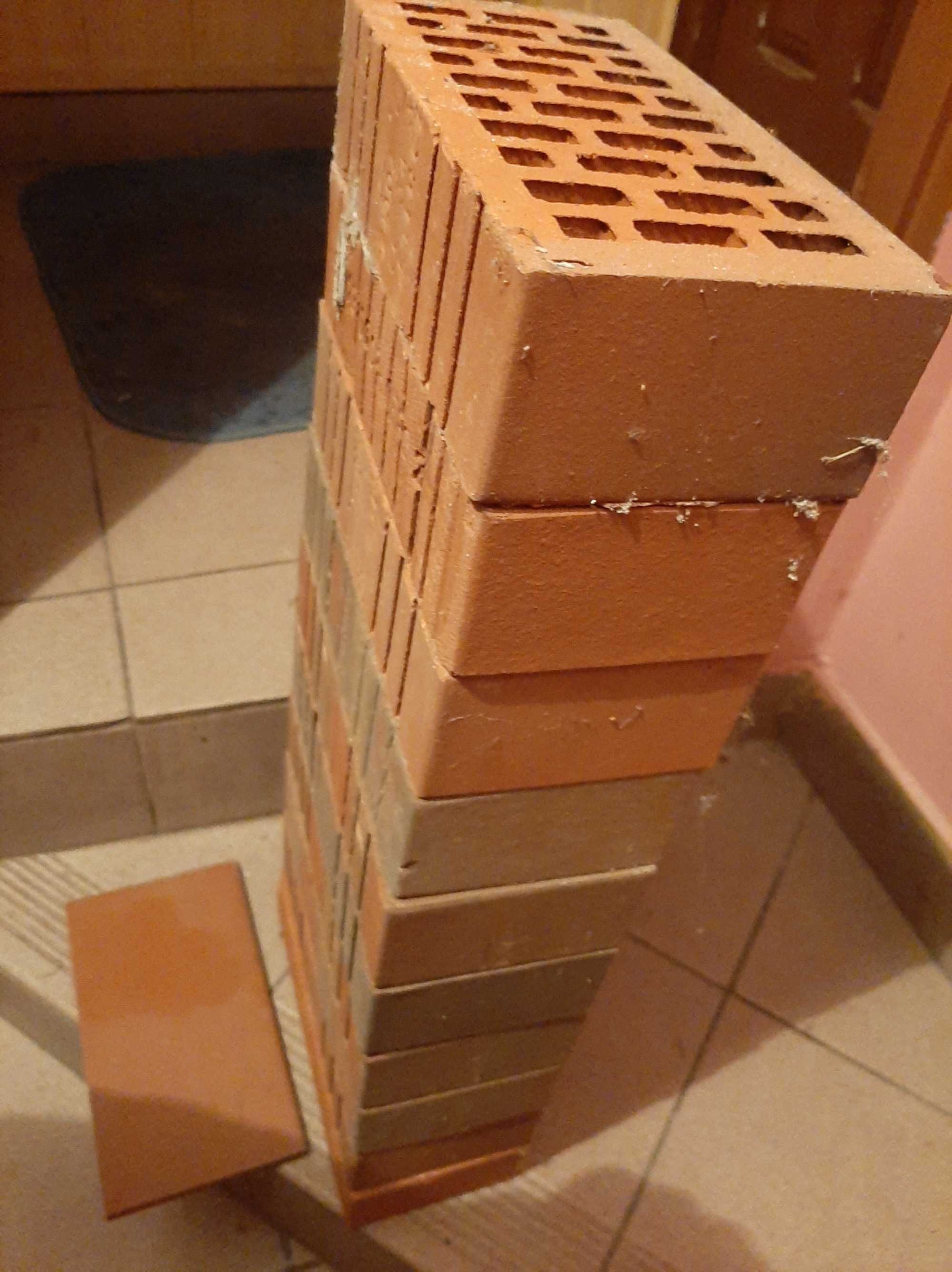 Cegły klinkierowe drążone 25x12x6.5 Cena za calosc cm Terca Toruń - 10