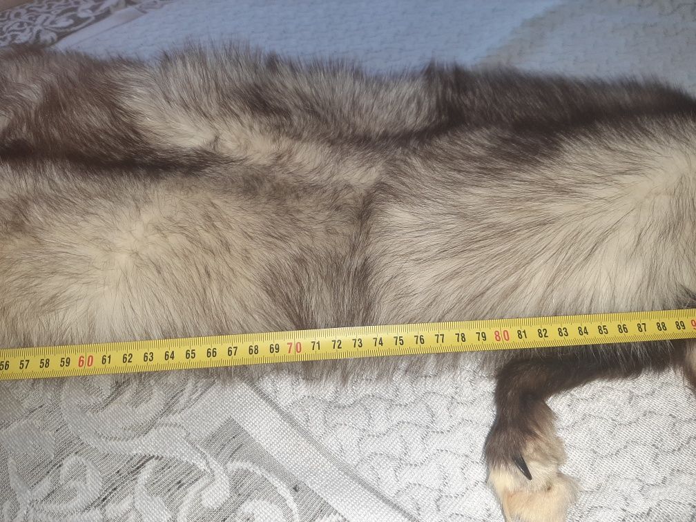 Чулок песца серебристого