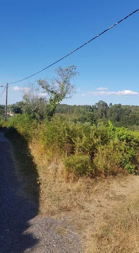 Lote de Terreno p/venda em Cavernães/Viseu