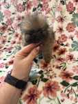 Pomeranian XXS miniaturka suczka do odbioru