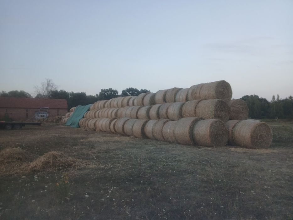 Sprzedam słome żytnią pszenną owsianą z tego roku