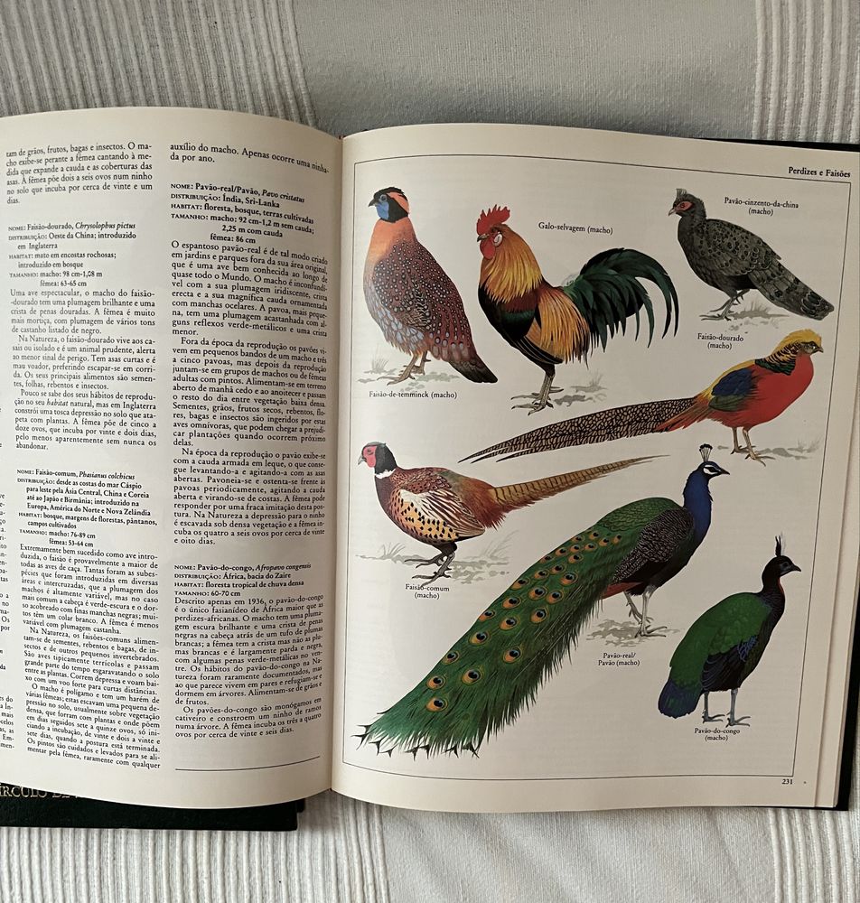 Enciclopédia de Animais 2 livros
