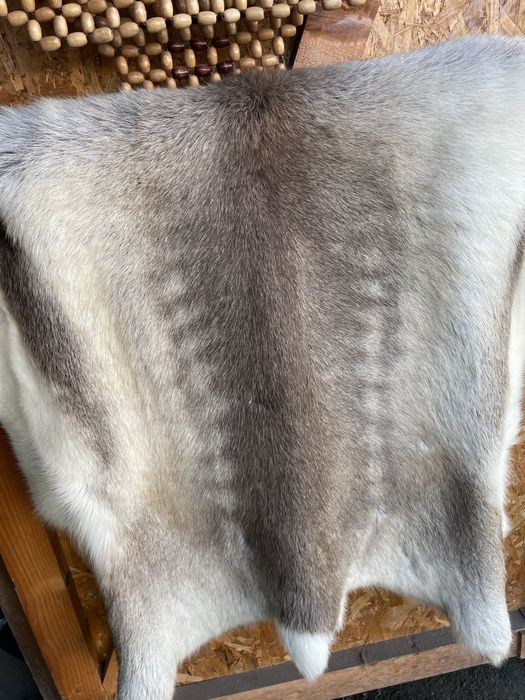 Шкіра оленя,реніфер