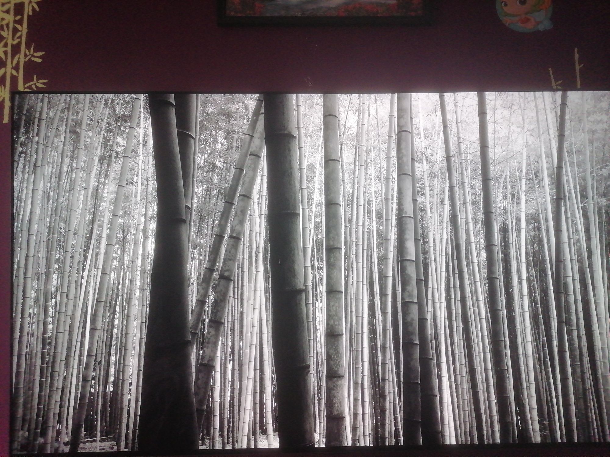 Telewizor LG OLED C21LA