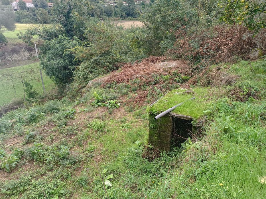 Fernando pires agente imobiliário da Remax like