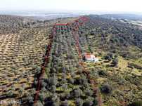 Terreno  para venda