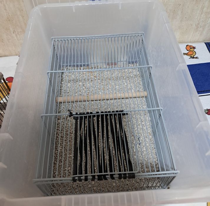 Transportadoras para aves